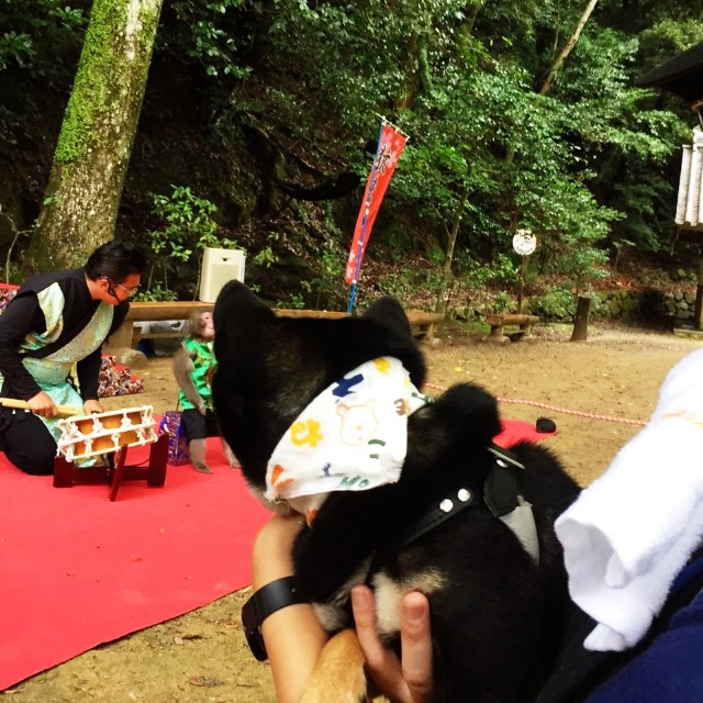 f:id:ohagimame:20200927040247j:image