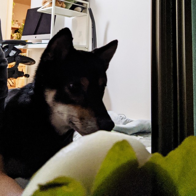 f:id:ohagimame:20201001211645j:image