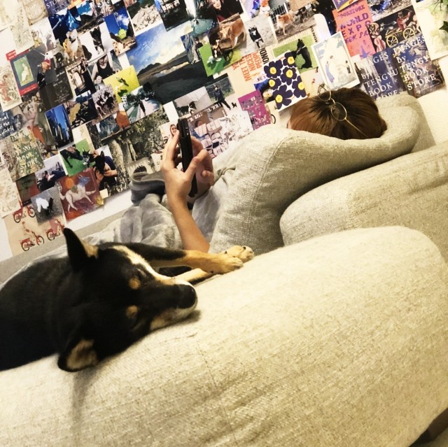 f:id:ohagimame:20201018185726j:image
