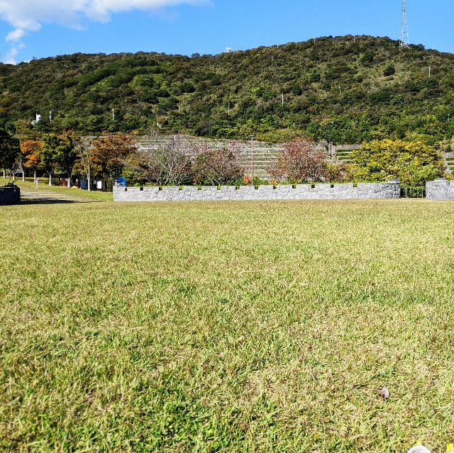 f:id:ohagimame:20201024175843j:image