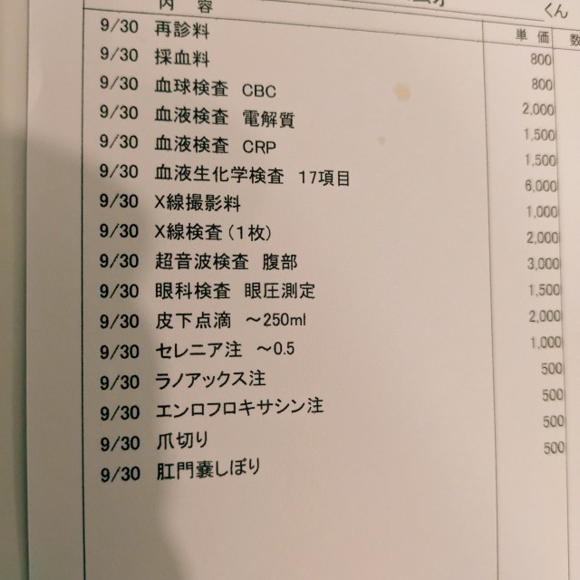 f:id:ohagimame:20250930184319j:image f:id:ohagimame:20250930184319j:image