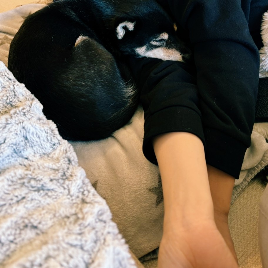 f:id:ohagimame:20251213175606j:image