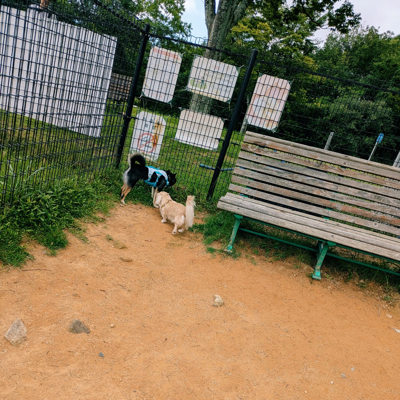 f:id:ohagimame:20260711162052j:image f:id:ohagimame:20260711162052j:image