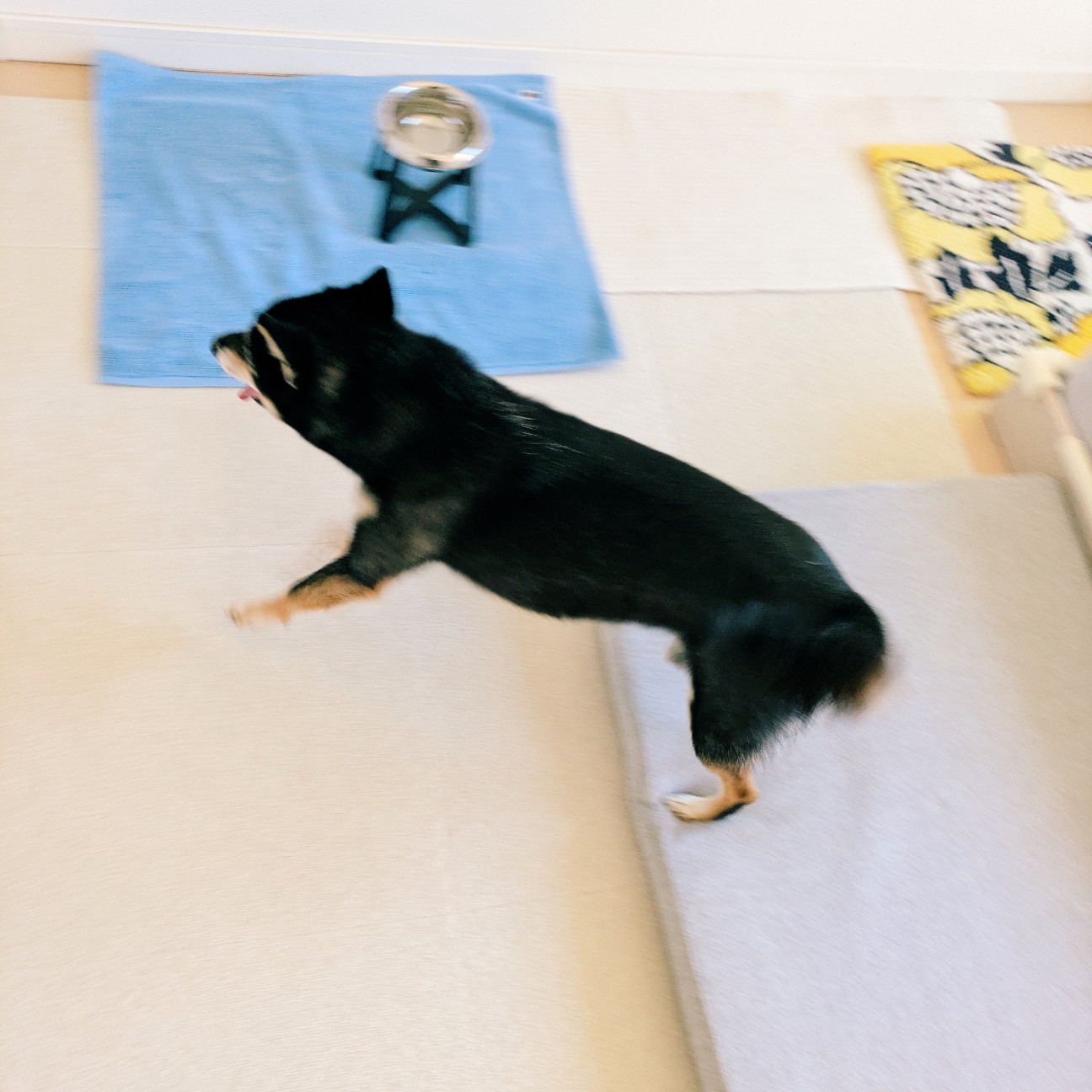 f:id:ohagimame:20261010191655j:image f:id:ohagimame:20261010191655j:image