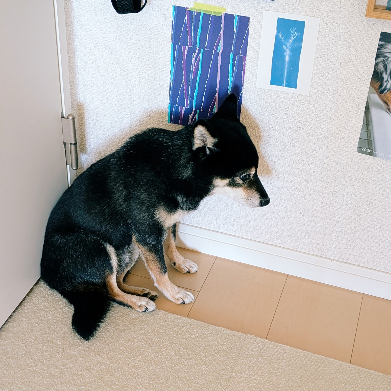 f:id:ohagimame:20261010191705j:image f:id:ohagimame:20261010191705j:image