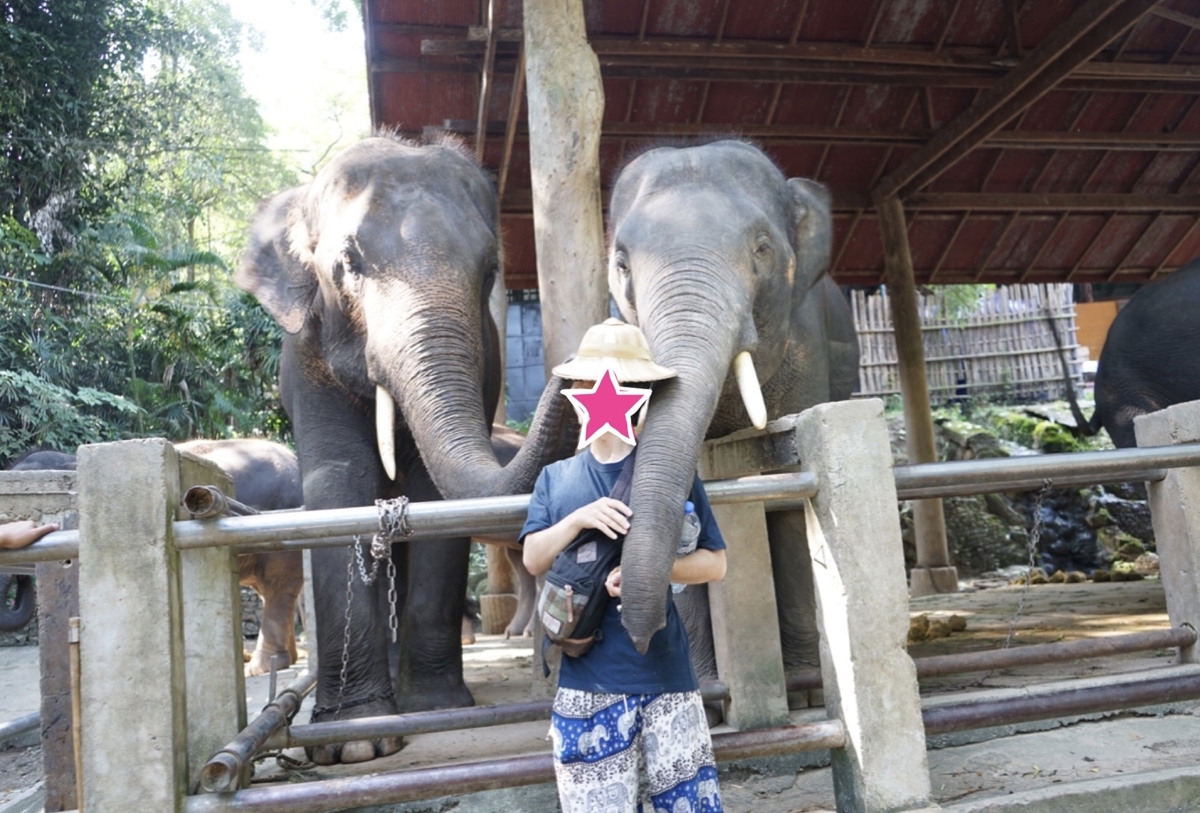 f:id:ohakei:20191201220538j:plain f:id:ohakei:20191201220538j:plain