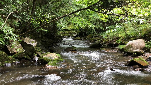f:id:ohakinton:20180904124553j:image
