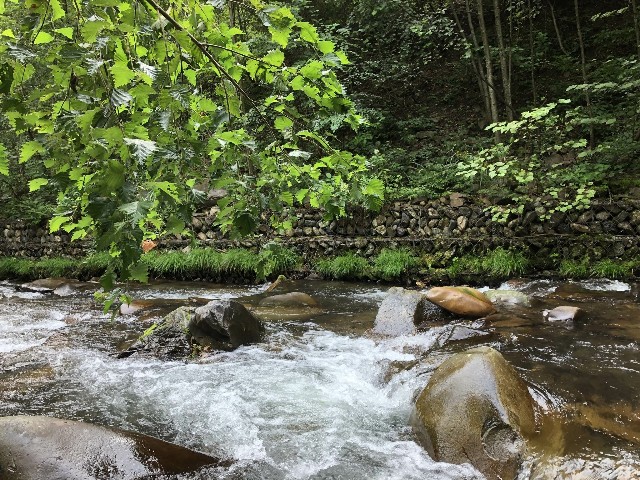f:id:ohakinton:20180904124929j:image