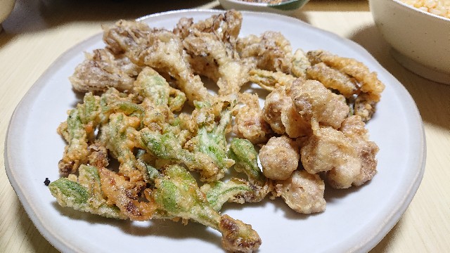 f:id:ohakinton:20190427111159j:image