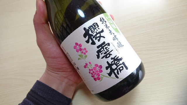 f:id:ohakinton:20190427111222j:image