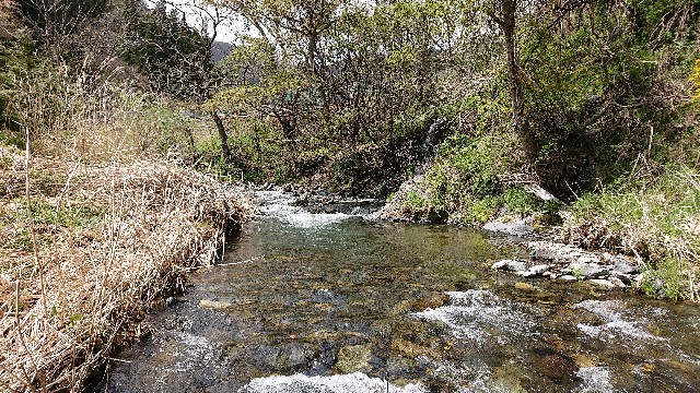 f:id:ohakinton:20190429103801j:image