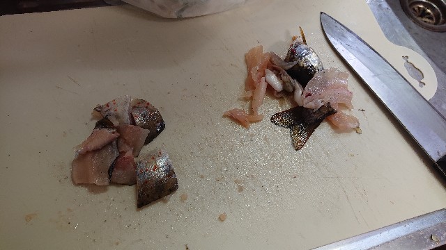 f:id:ohakinton:20190429104134j:image