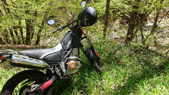 f:id:ohakinton:20190509150859j:image