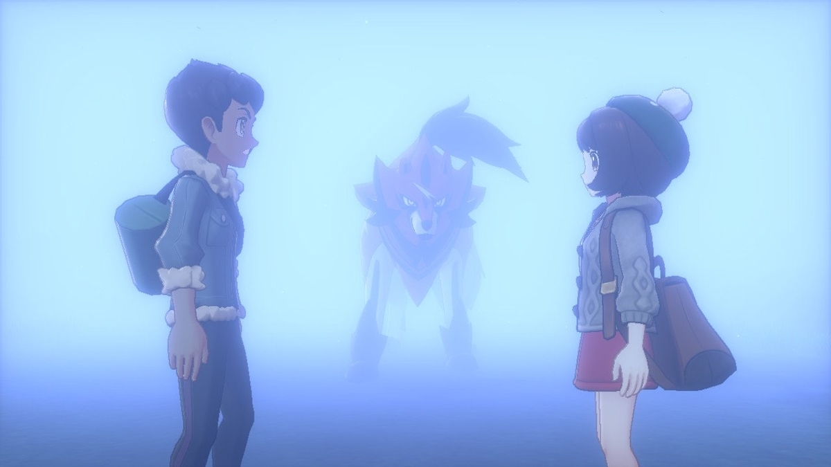 第3章 初バトル そして未知との遭遇 ポケモン剣盾 ハナは盾を手に入れた
