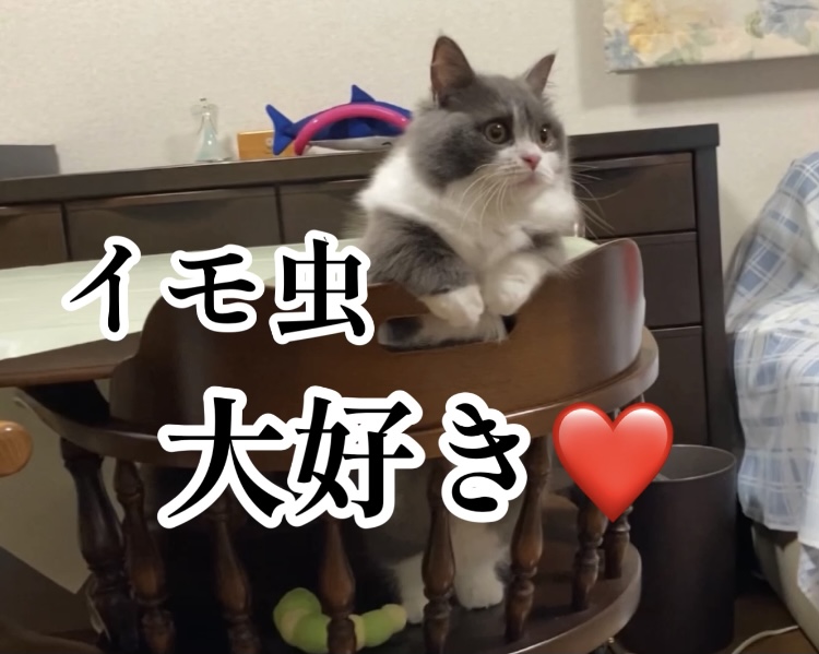 f:id:ohanablog87:20210628042413j:plain