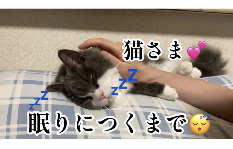 f:id:ohanablog87:20210705051130j:plain