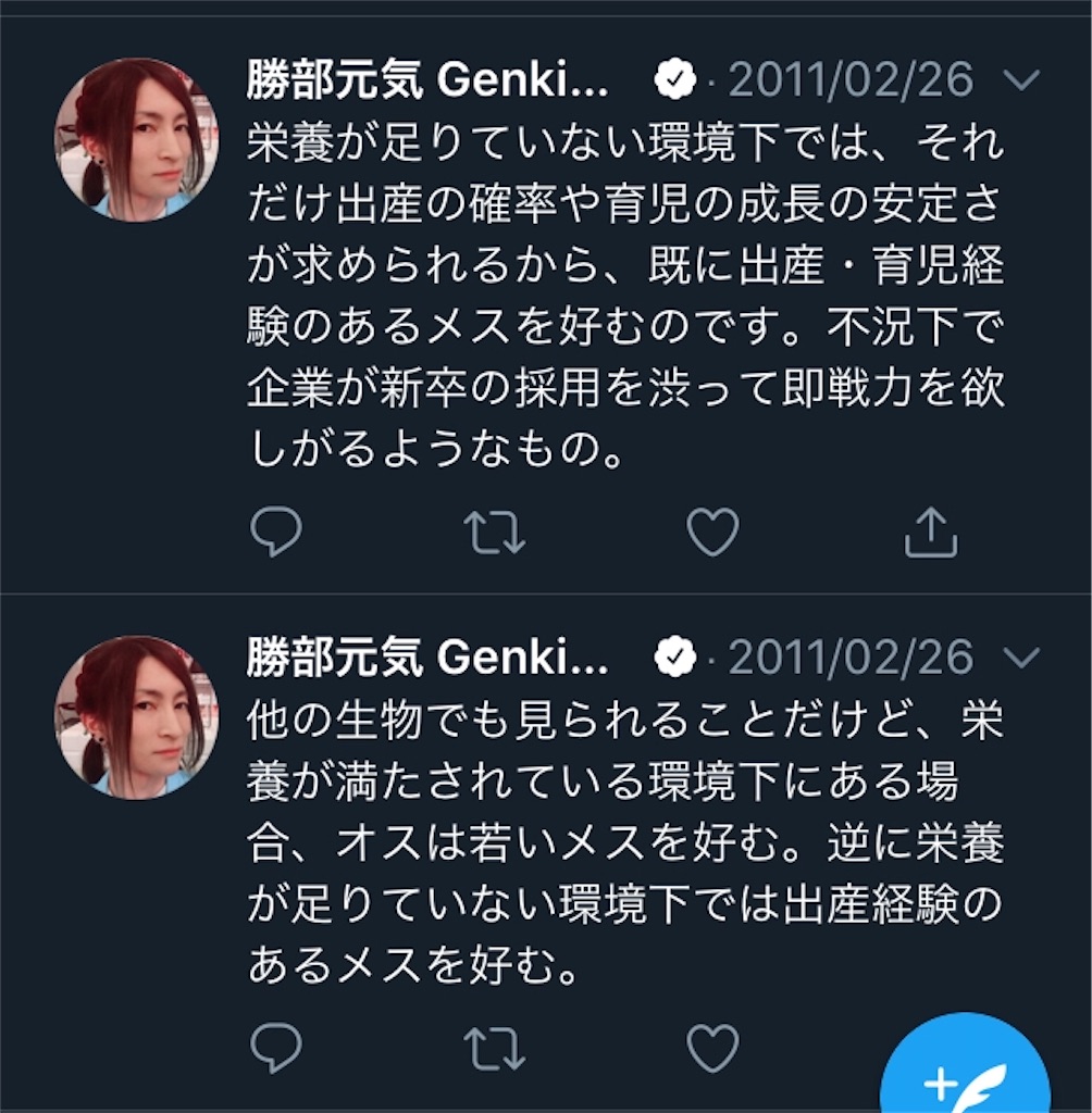 f:id:ohaoha01:20200429205242j:image