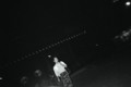 20081115233522