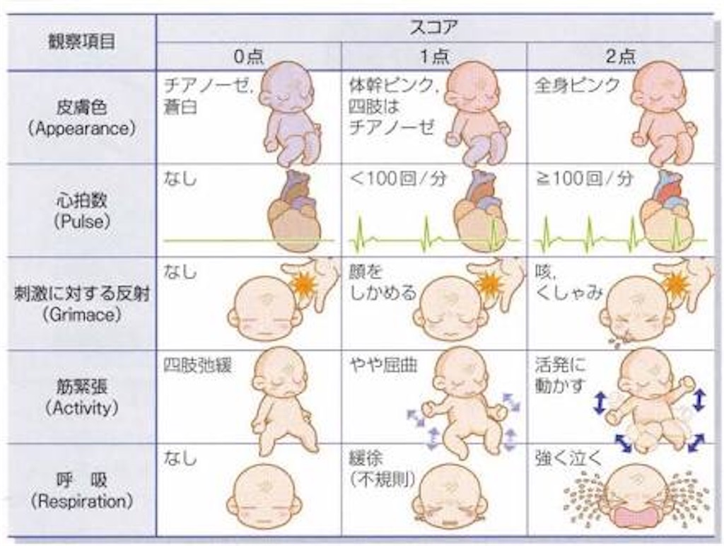 アプガースコア 子供が欲しくて三千里 アプガースコア 子供が欲しくて三千里