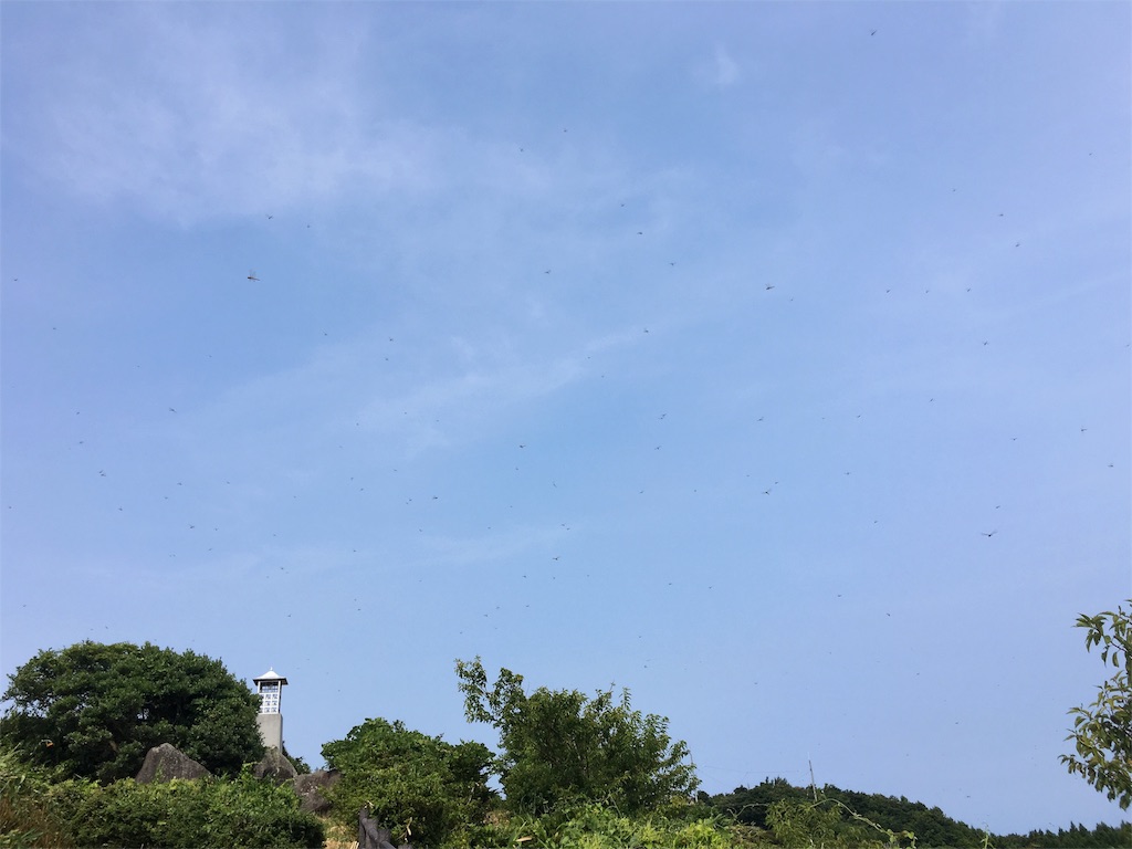 f:id:ohataseiji:20160825083704j:image f:id:ohataseiji:20160825083704j:image