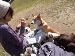 f:id:ohayo-aloha:20130203104235j:image:right f:id:ohayo-aloha:20130203104235j:image:right