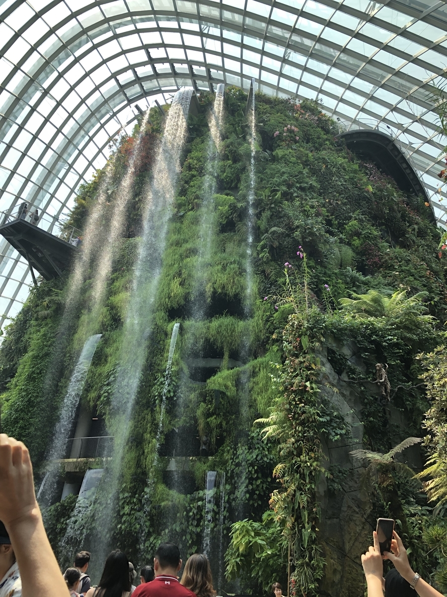 f:id:ohayoubanana:20190909204656j:plain f:id:ohayoubanana:20190909204656j:plain