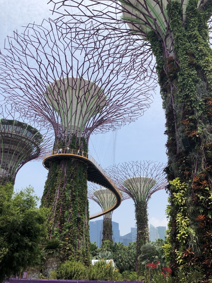 f:id:ohayoubanana:20190909210607j:plain f:id:ohayoubanana:20190909210607j:plain