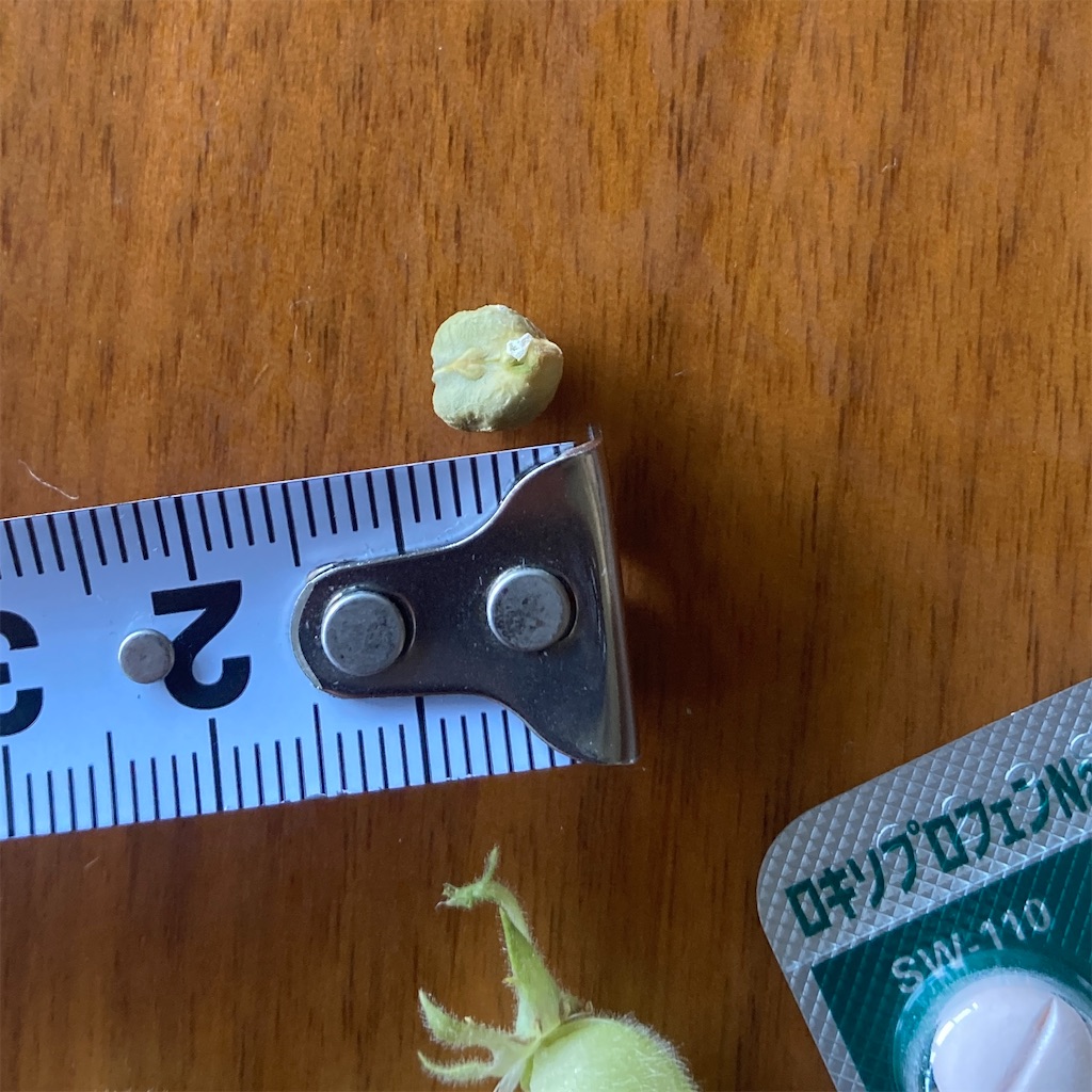 f:id:ohayoukazuki:20240706085403j:image