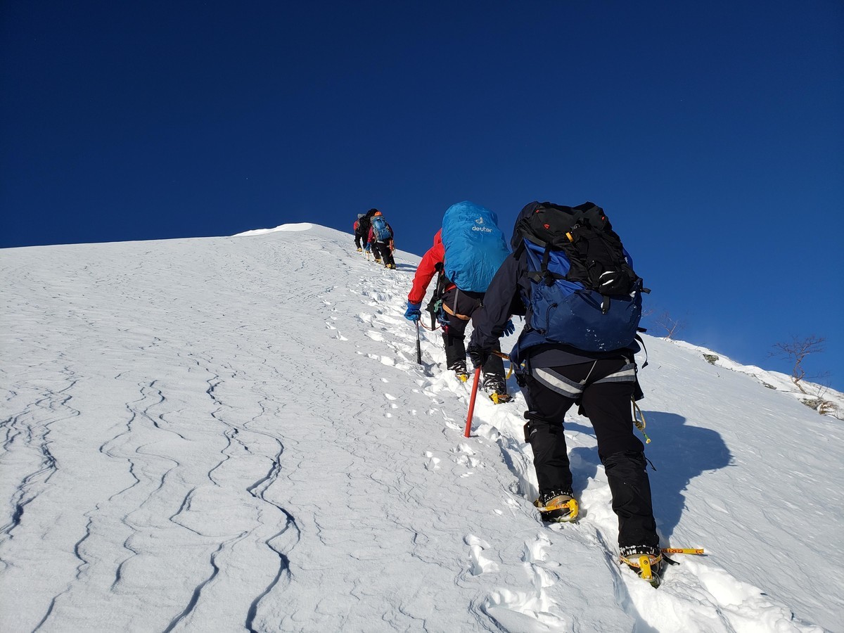 f:id:ohdebara:20200316120530j:plain f:id:ohdebara:20200316120530j:plain