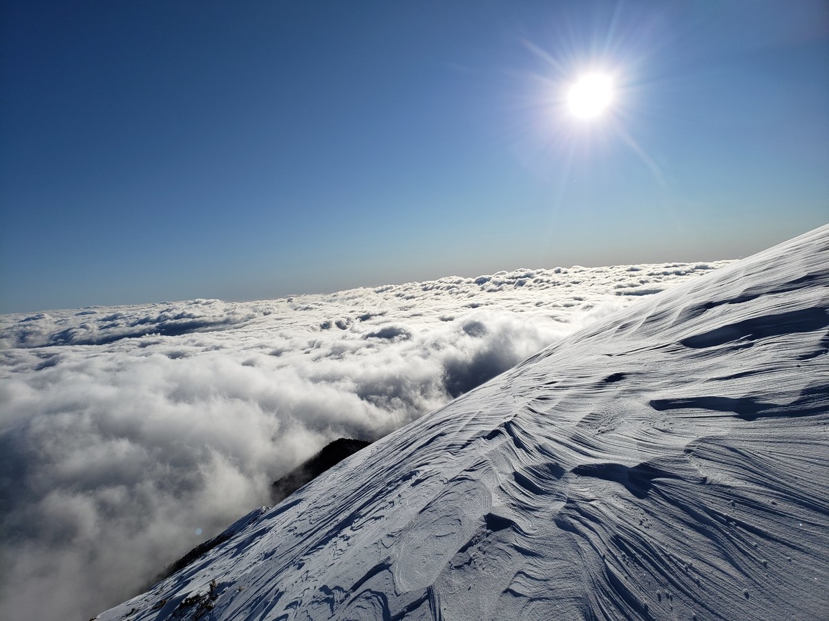 f:id:ohdebara:20200316120539j:plain f:id:ohdebara:20200316120539j:plain