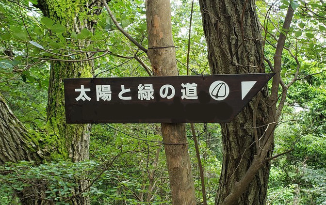89×15cm 木製 道しるべ 道標 案内板 栃洞沢-与地 登山道 看板 標識 太陽と緑の道」の道標、看板、標識たち - 山ヤ再開