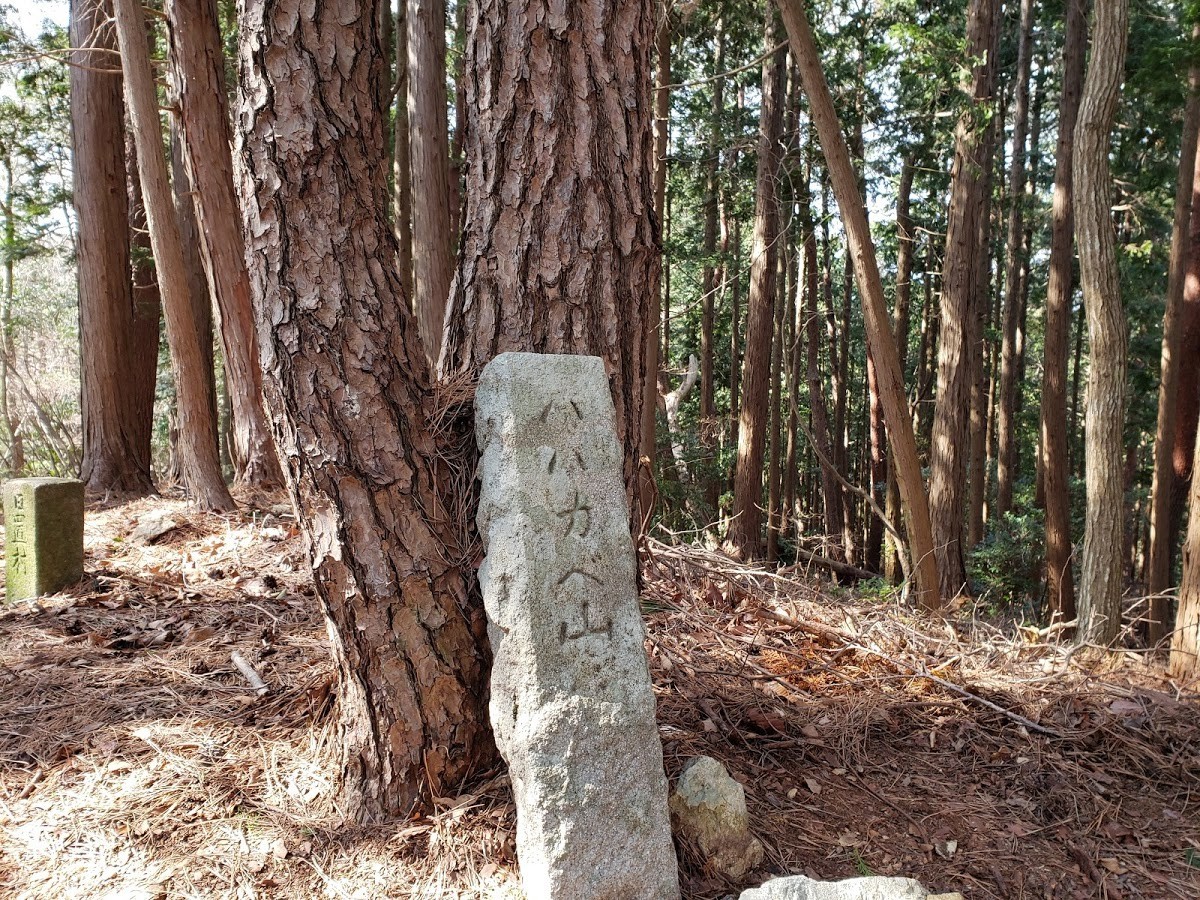 f:id:ohdebara:20200717180224j:plain