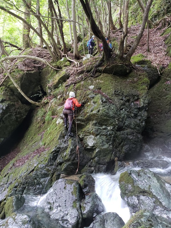 f:id:ohdebara:20200719145737j:plain