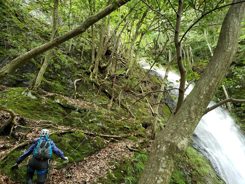 f:id:ohdebara:20200719152153j:plain