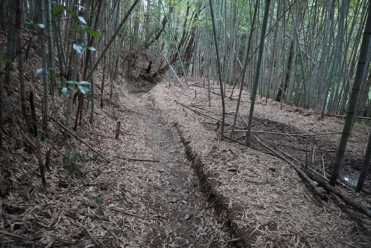 f:id:ohdebara:20201003130807j:plain