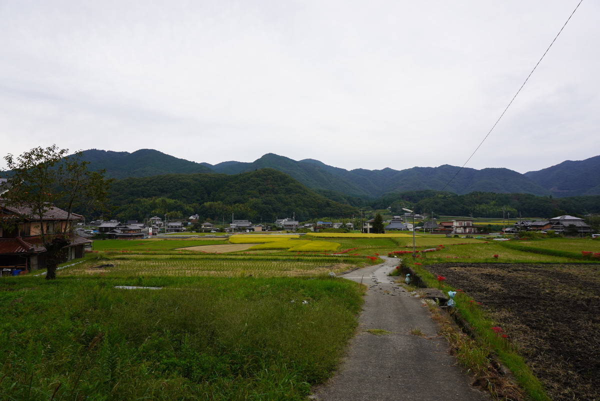 f:id:ohdebara:20201003131331j:plain