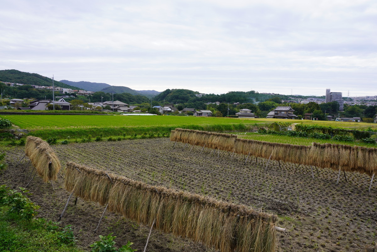 f:id:ohdebara:20201006085852j:plain