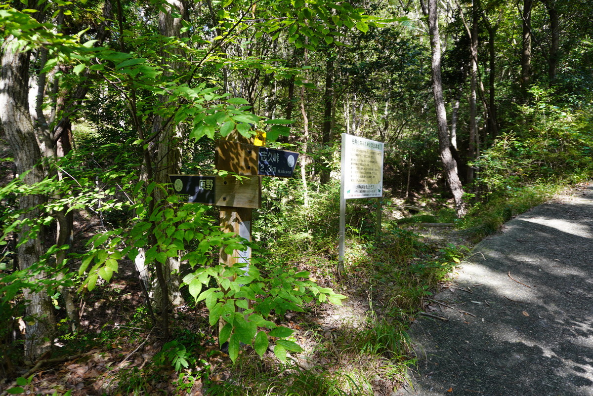 f:id:ohdebara:20201006091801j:plain