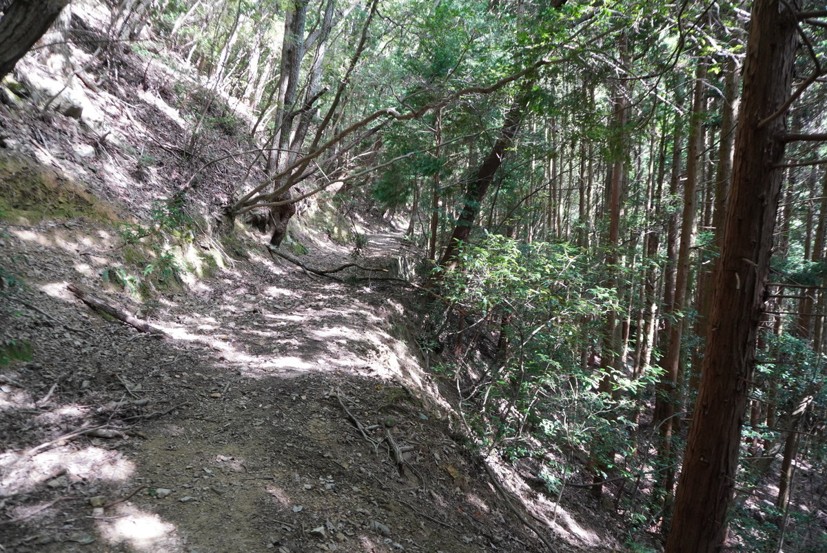 f:id:ohdebara:20201006092459j:plain