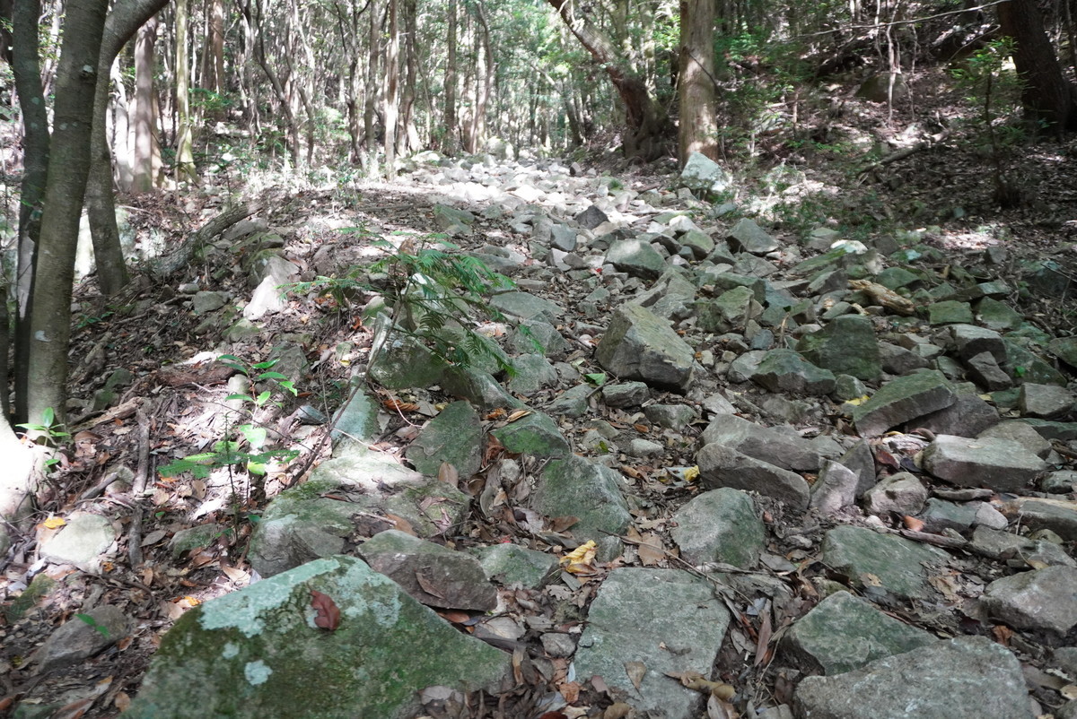 f:id:ohdebara:20201006092730j:plain