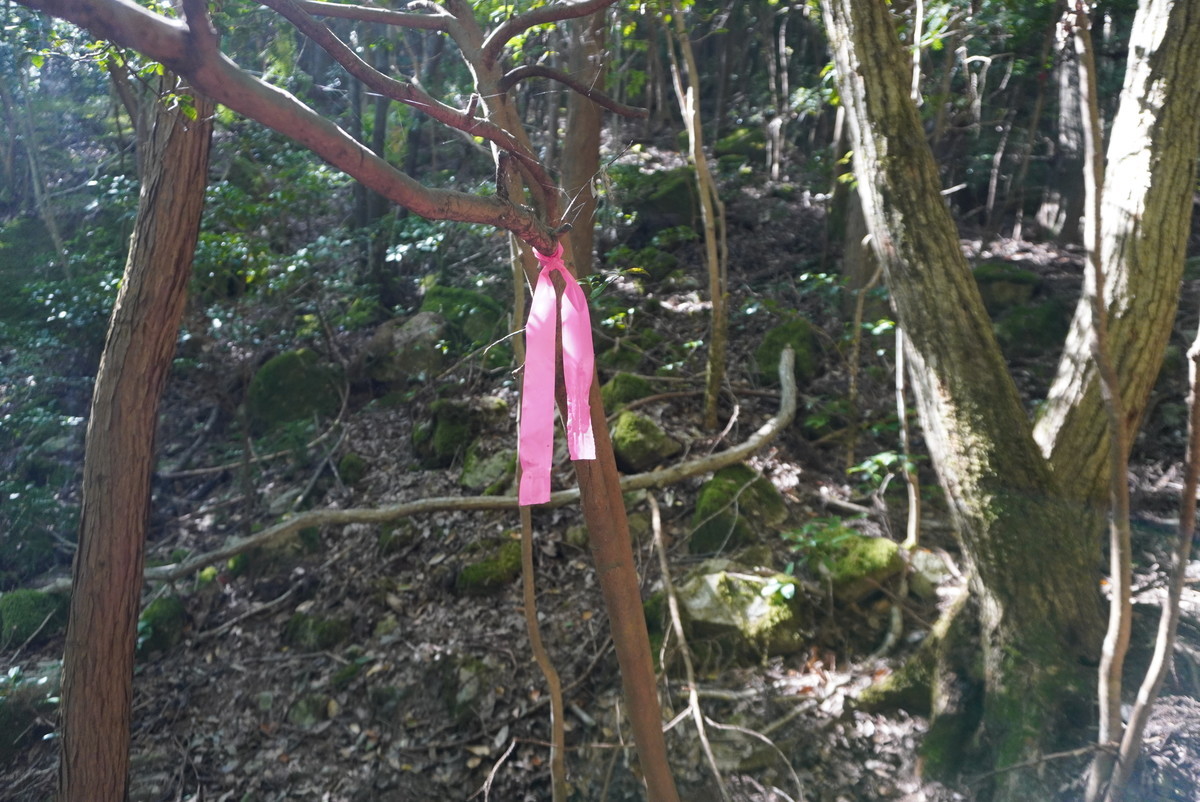 f:id:ohdebara:20201006094851j:plain