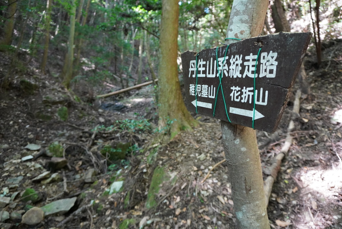 f:id:ohdebara:20201006095059j:plain