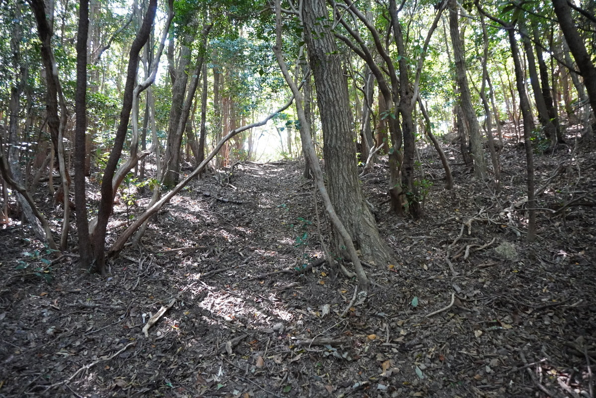 f:id:ohdebara:20201006095838j:plain