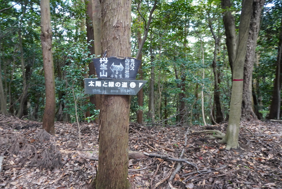 太陽と緑の道」の道標、看板、標識たち - 山ヤ再開