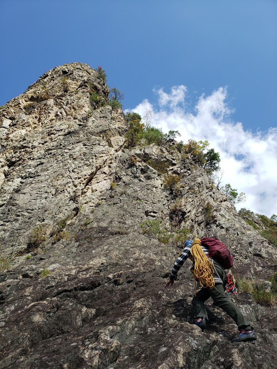 f:id:ohdebara:20201014120401j:plain