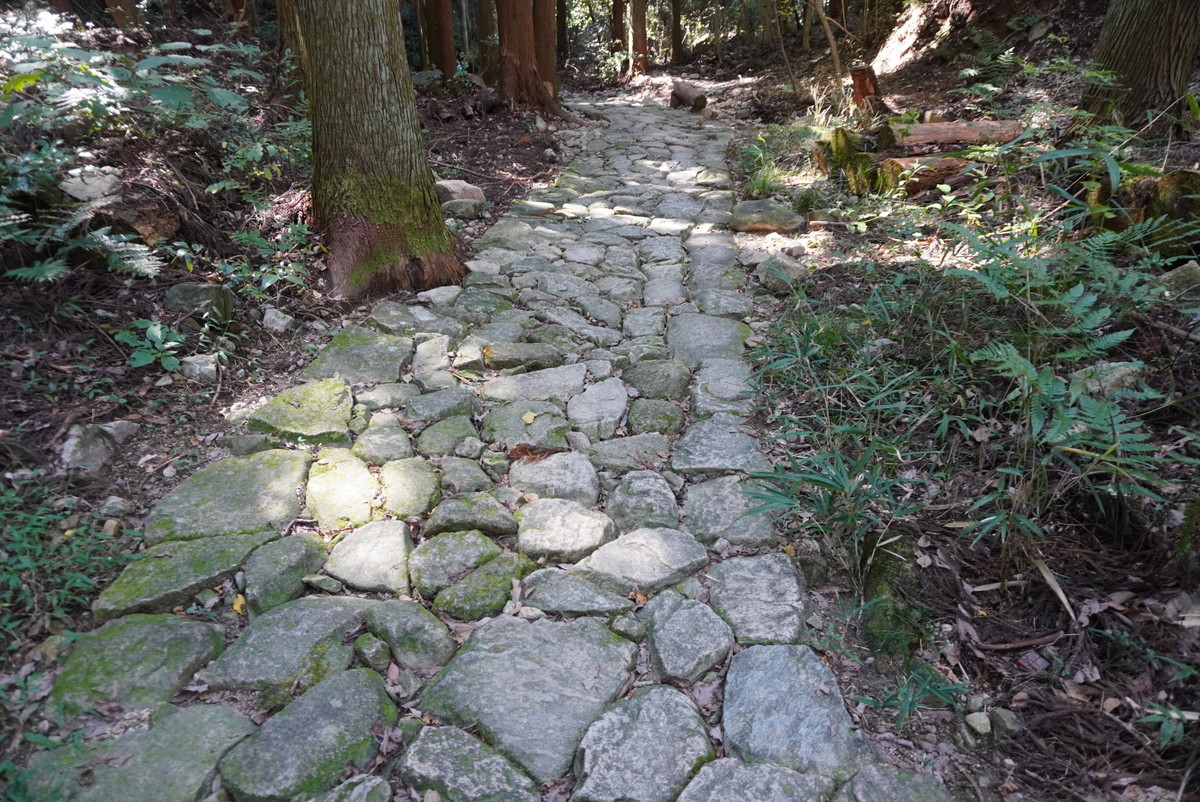 f:id:ohdebara:20201025111545j:plain