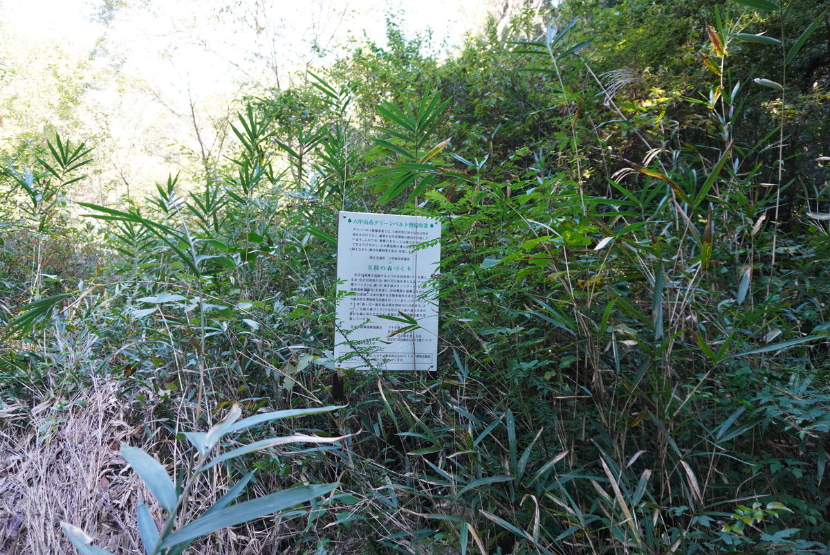 f:id:ohdebara:20201025111718j:plain