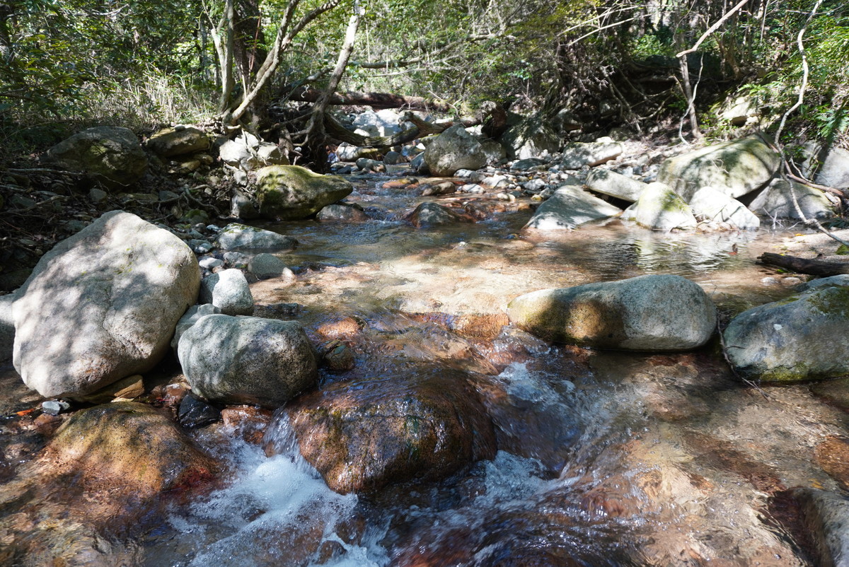 f:id:ohdebara:20201025113600j:plain