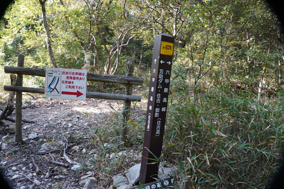 f:id:ohdebara:20201031143110j:plain