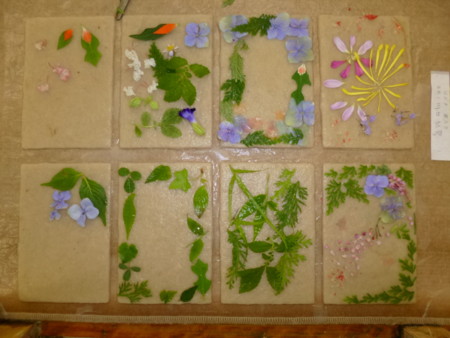 f:id:ohdorii:20140811111902j:image:h200